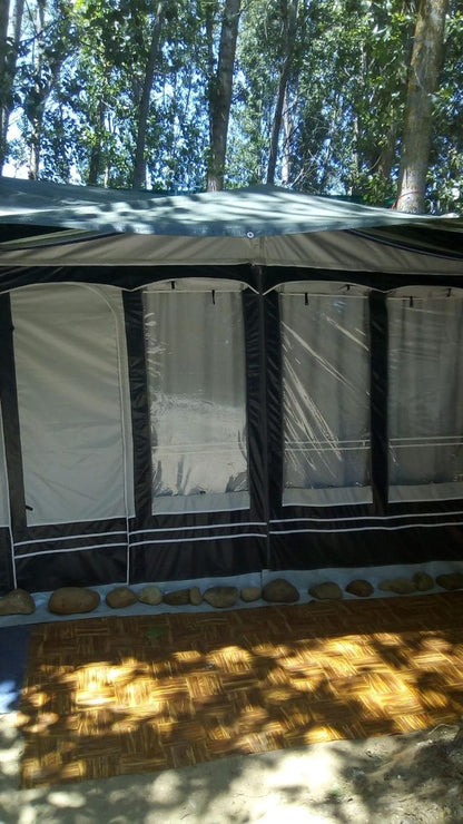Caravane Tabbert XXL